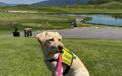 Skaha III | May 2025