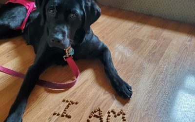 Mabel II | July 2025