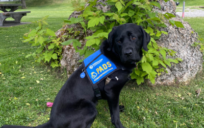 Meet Team Alma