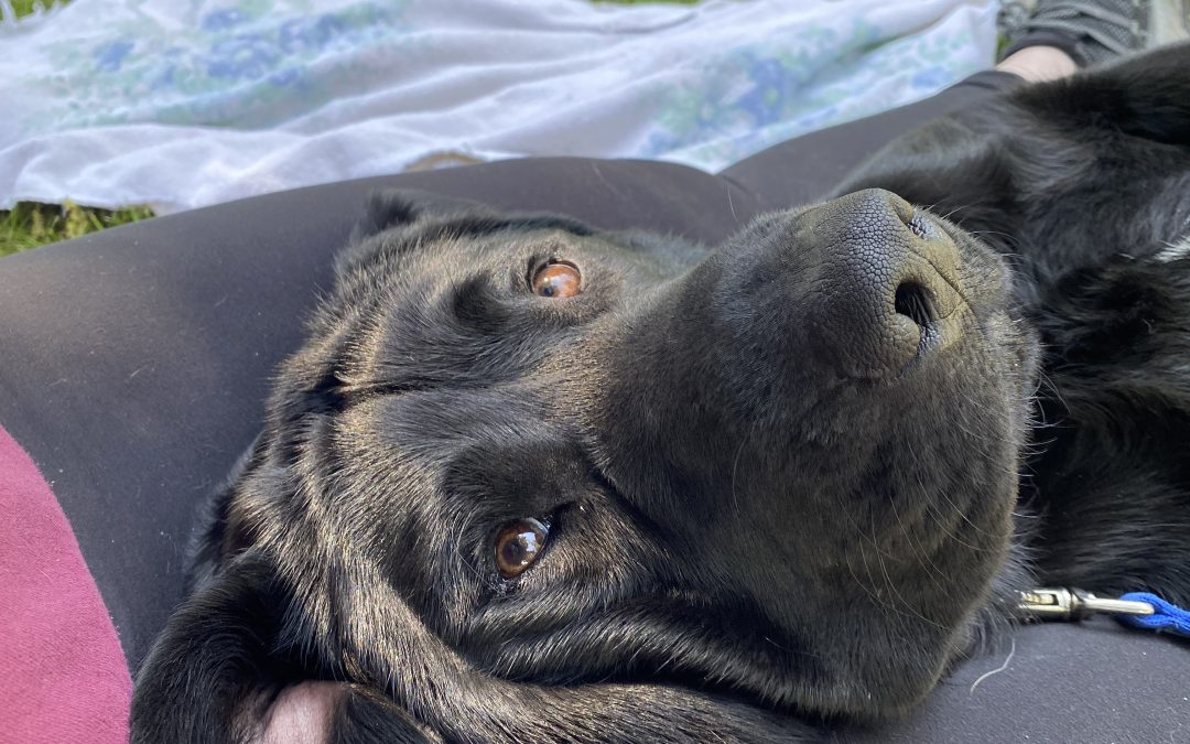 Baldwin | June 2025