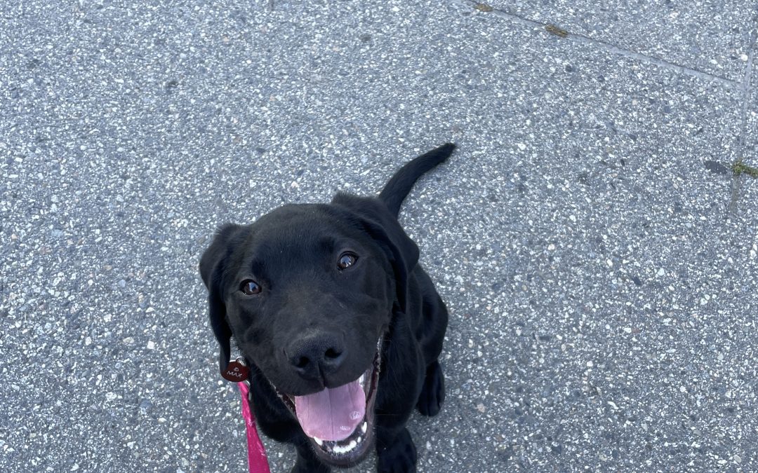 Max | July 2025