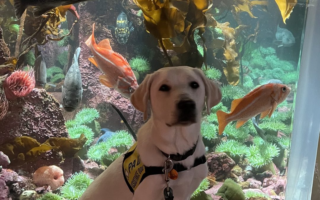 Falkor | June 2025