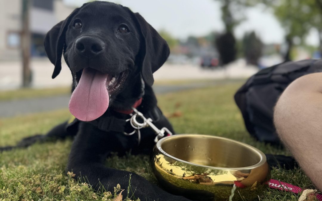 Max | June 2025