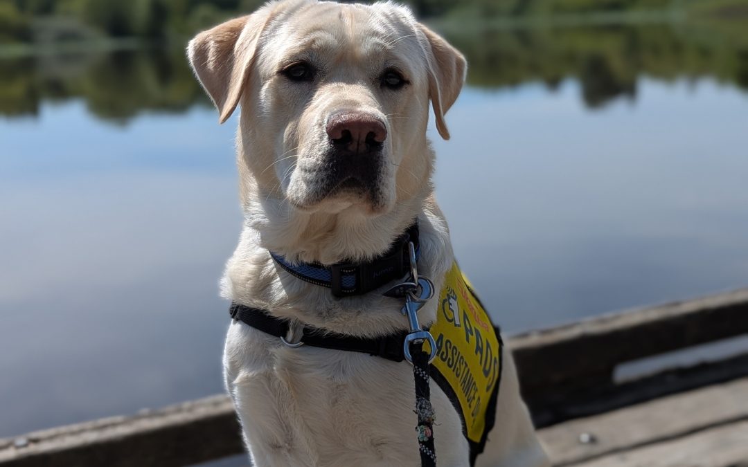 Bumble | May 2025