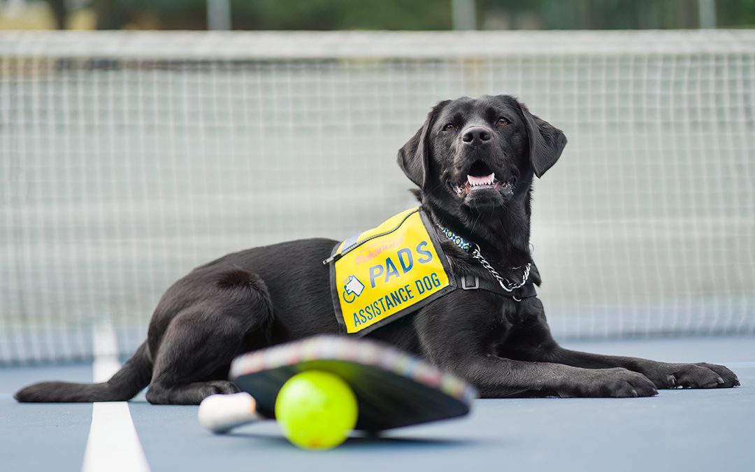 Pickleball, Pints, and Purpose