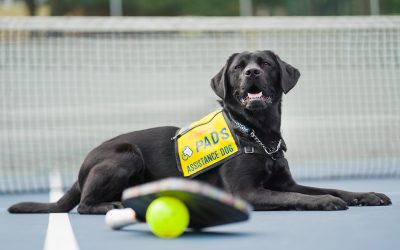 Pickleball, Pints, and Purpose