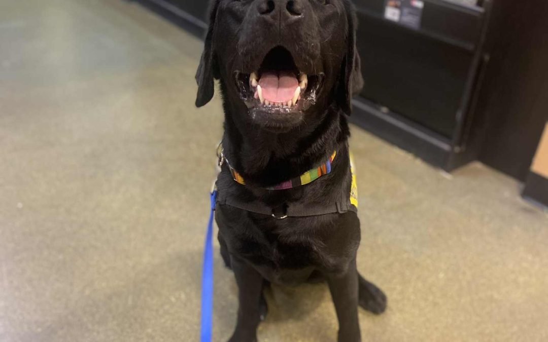 Huckle | June 2025