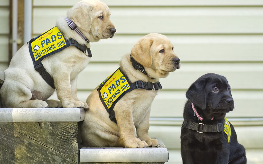 Senior Manager, Volunteers (Burnaby) | Accepting Applications