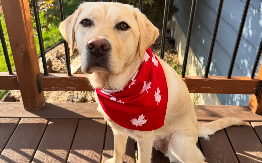 Skaha III | July 2025