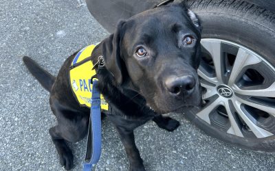 Calvin | January 2025