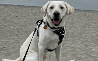 Falkor | August 2025