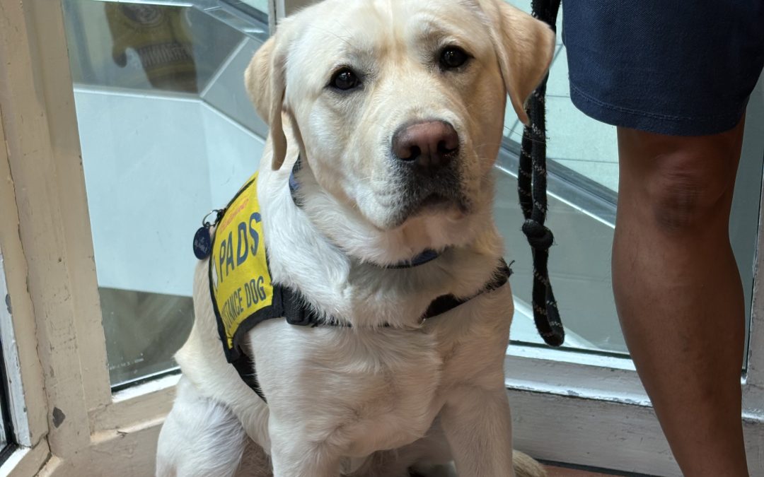 Bumble | July 2025