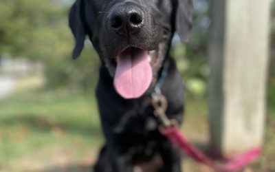 Max | August 2025