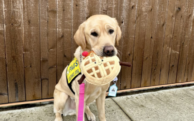 Meet Team Waffle