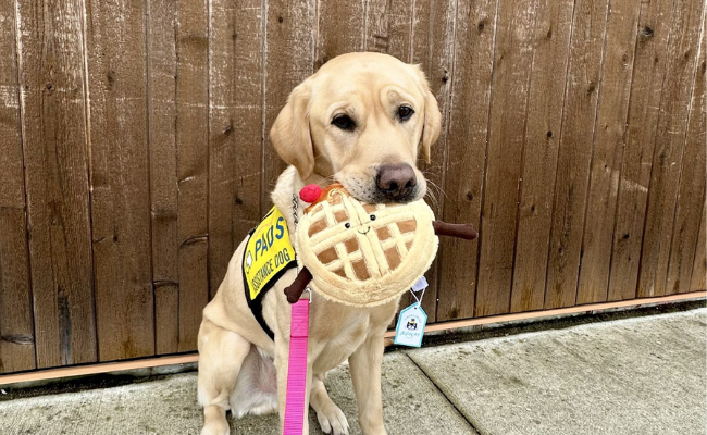 Meet Team Waffle