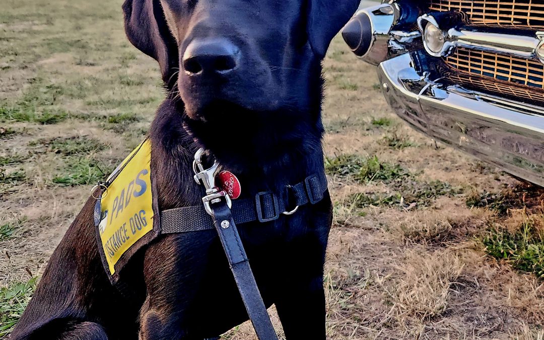 Kiyoko | August 2025