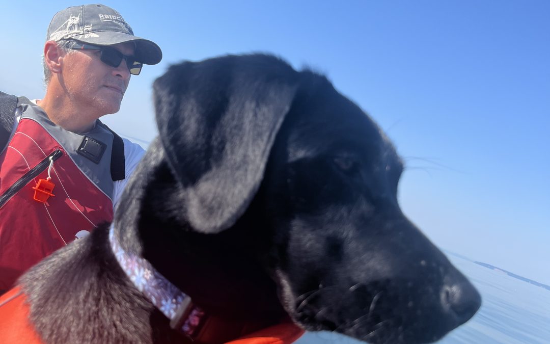 Libby II | August 2025