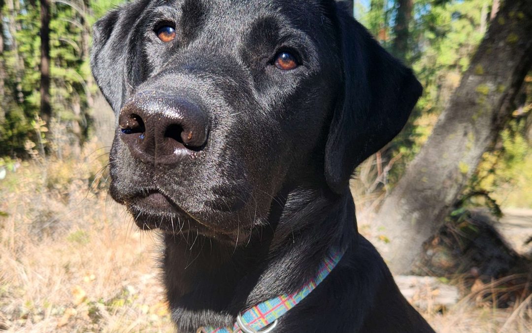 Kiyoko | September 2025