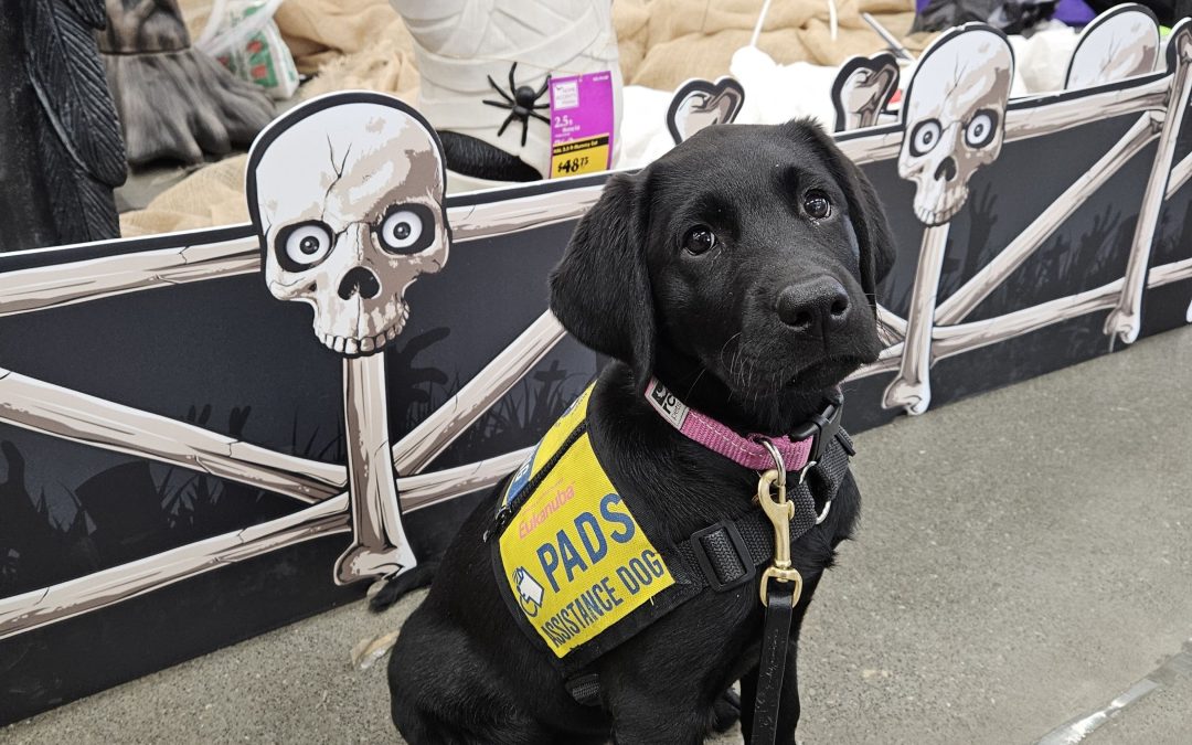 Maren | October 2025