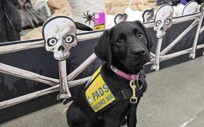 Maren | October 2025