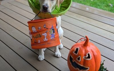 Minnie II | October 2025