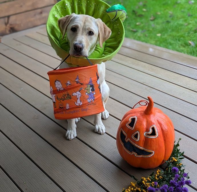 Minnie II | October 2025