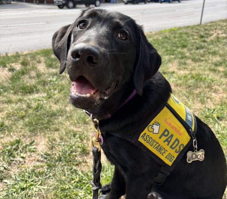 Dot II | September 2025