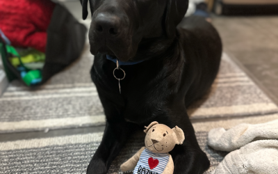 Bazinga | September 2025