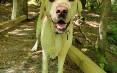 Captain | October 2025