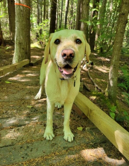 Captain | October 2025