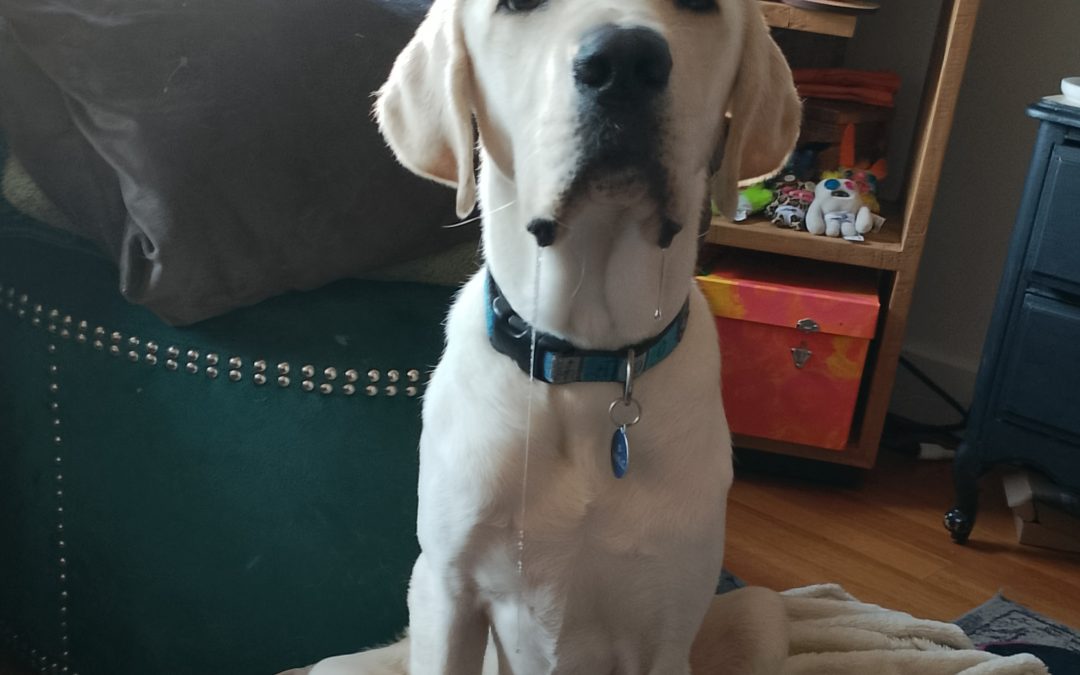 Smaug | September 2025