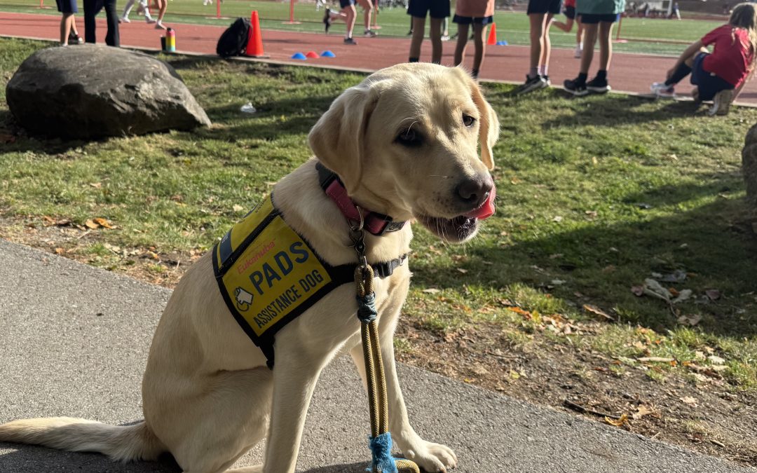 Zoe | September 2025