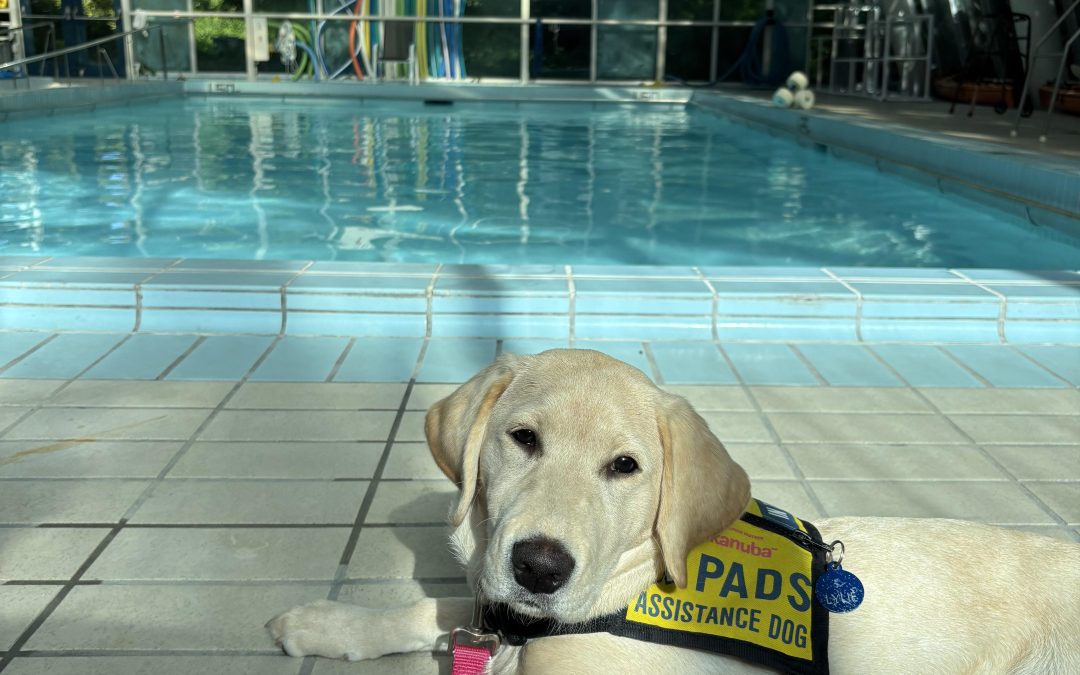 Lylie | September 2025