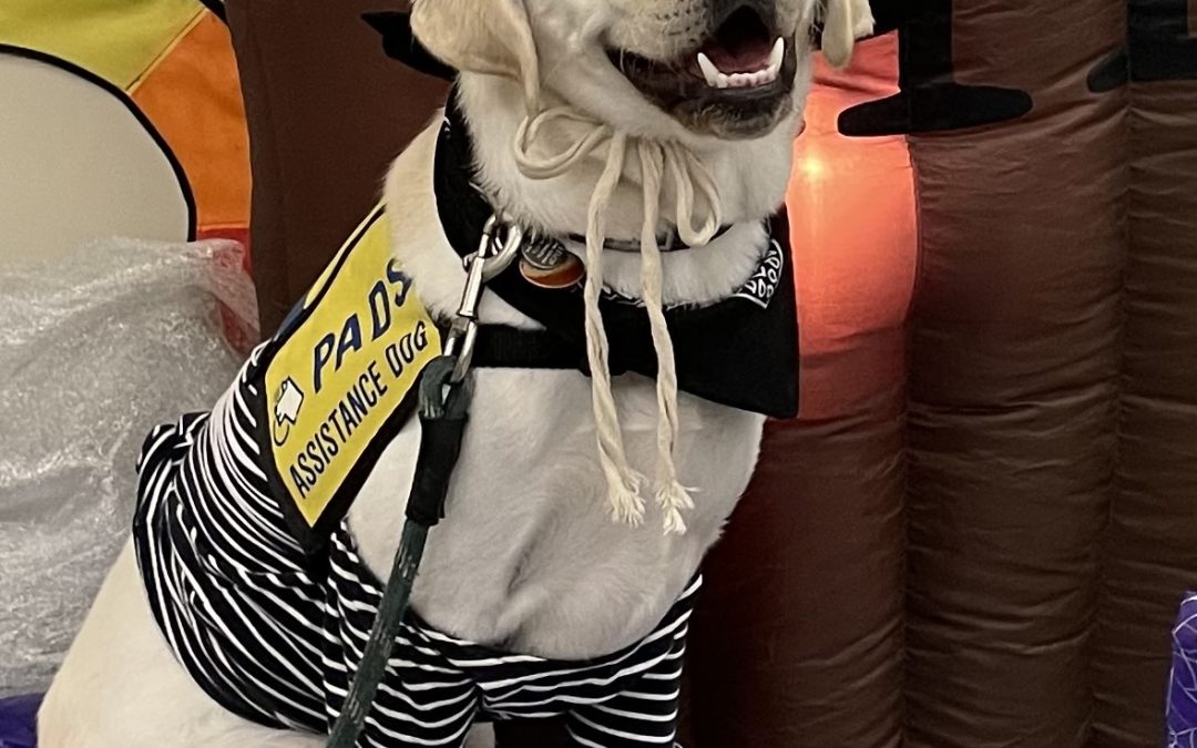 Falkor | October 2025