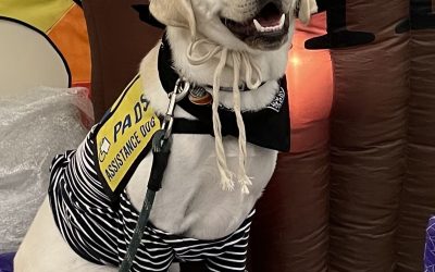 Falkor | October 2025