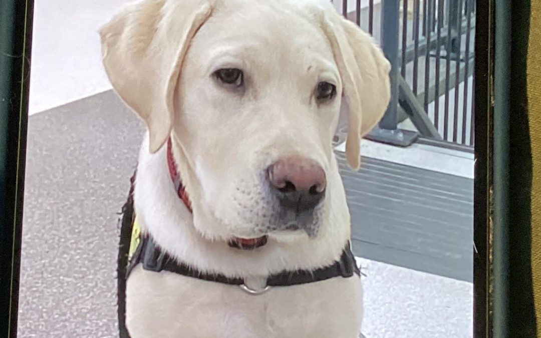 Jonsie | October 2025