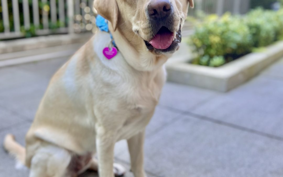 Keller | September 2025