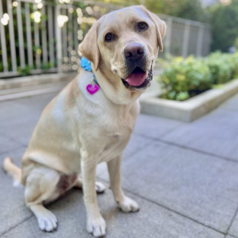 Keller | September 2025