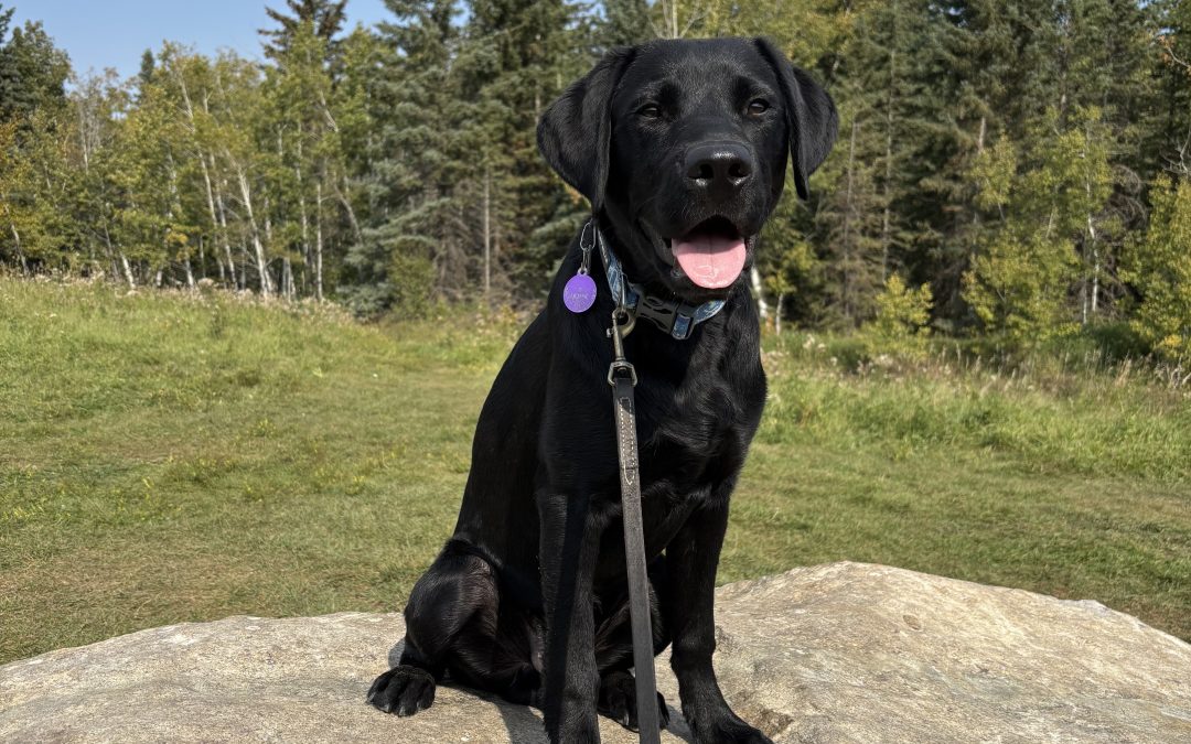 Doane | September 2025