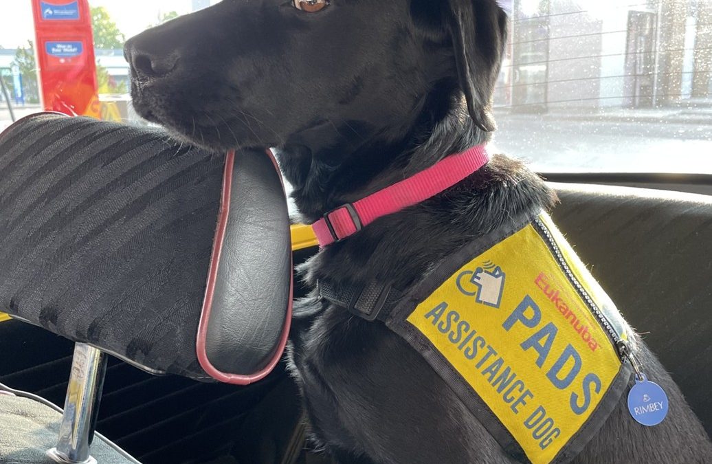 Rimbey | September 2025