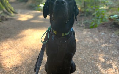 Ripto | September 2025