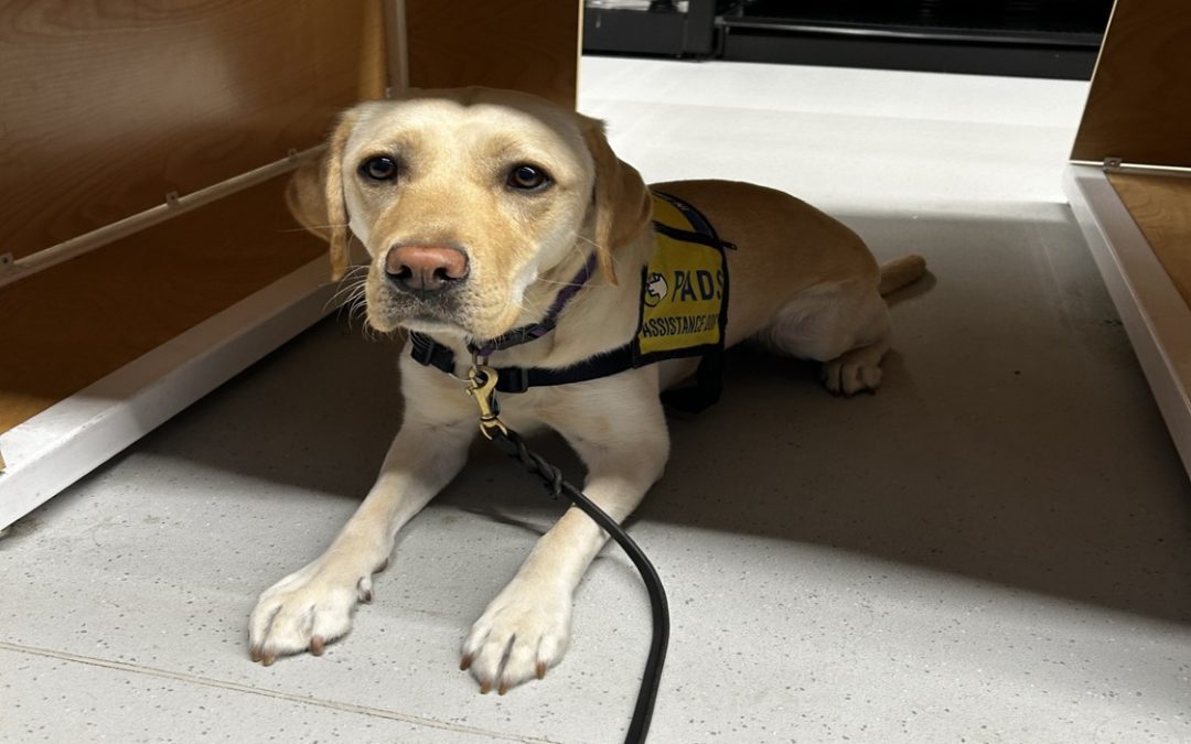 Sylvan II | September 2025