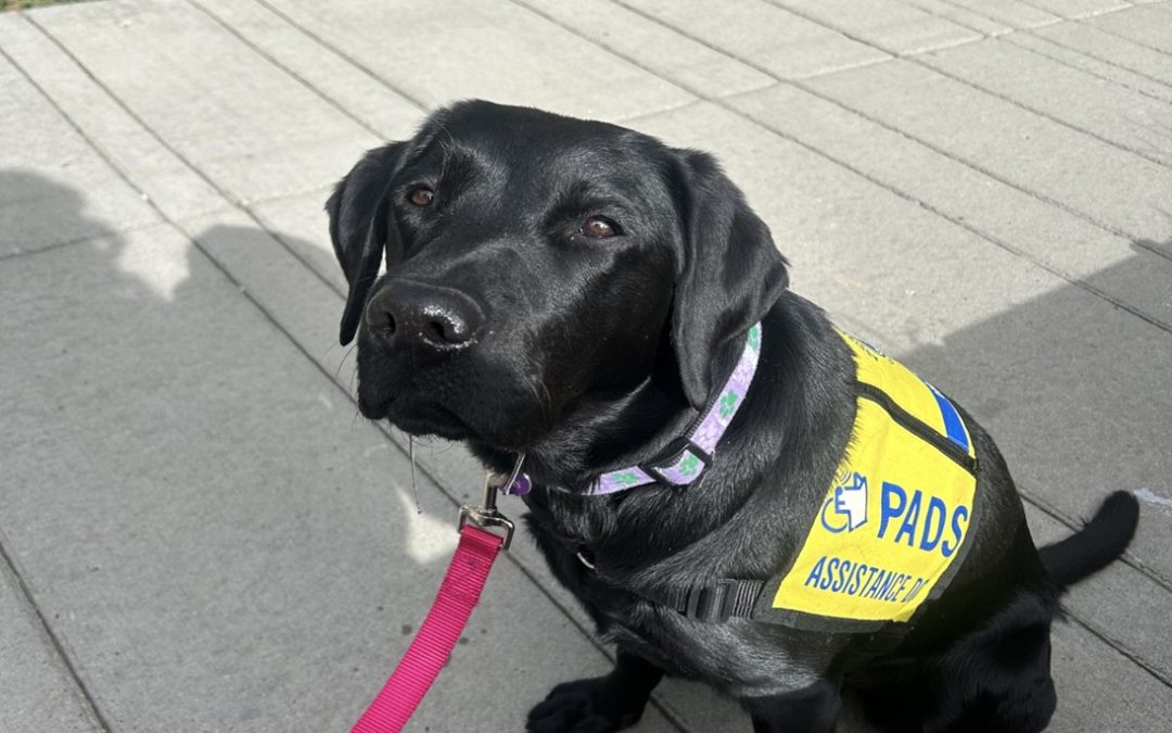 Tetris | September 2025