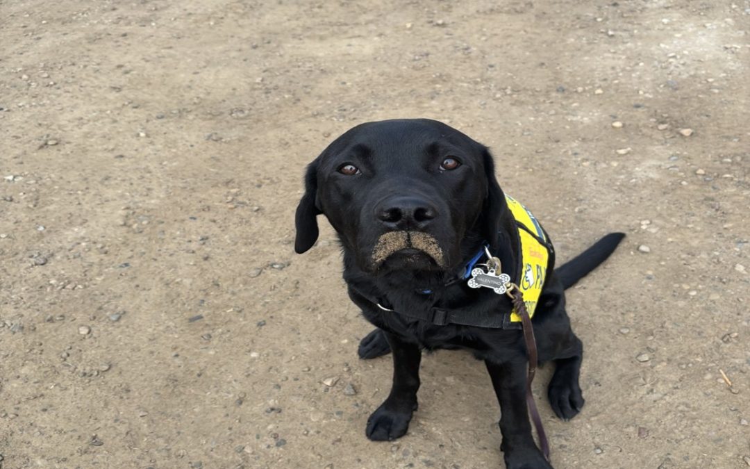 Valentino | September 2025