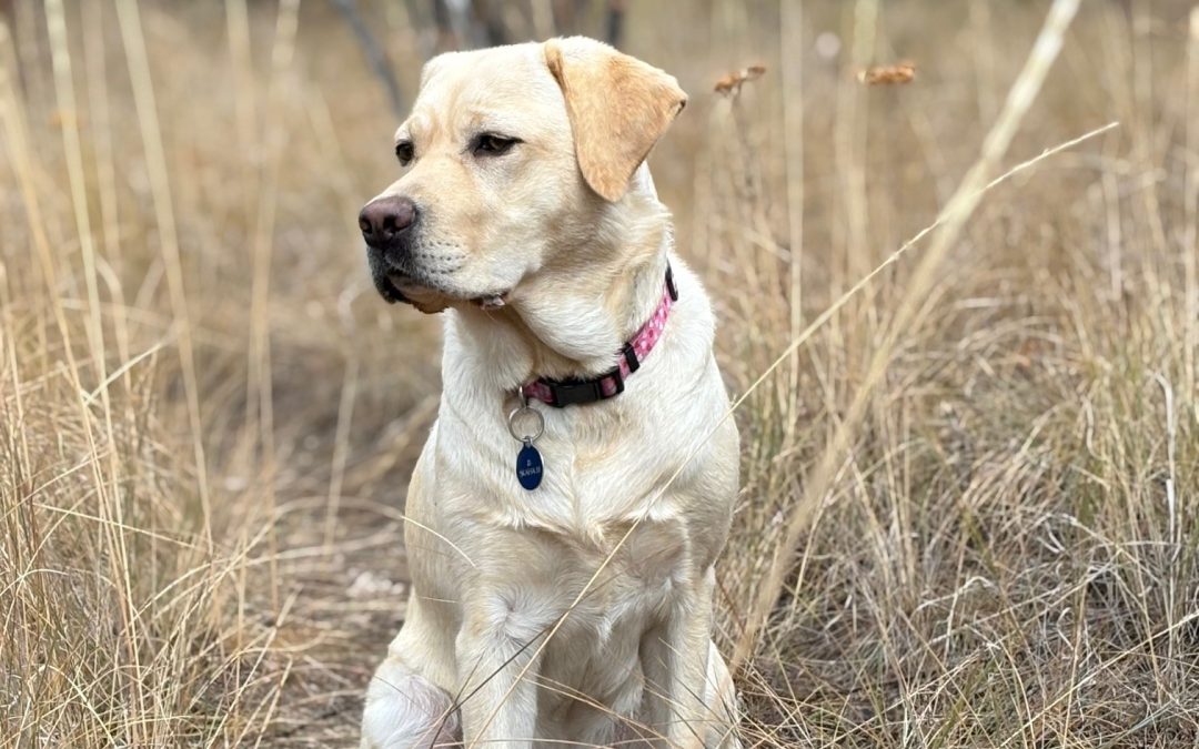 Skaha III | October 2025