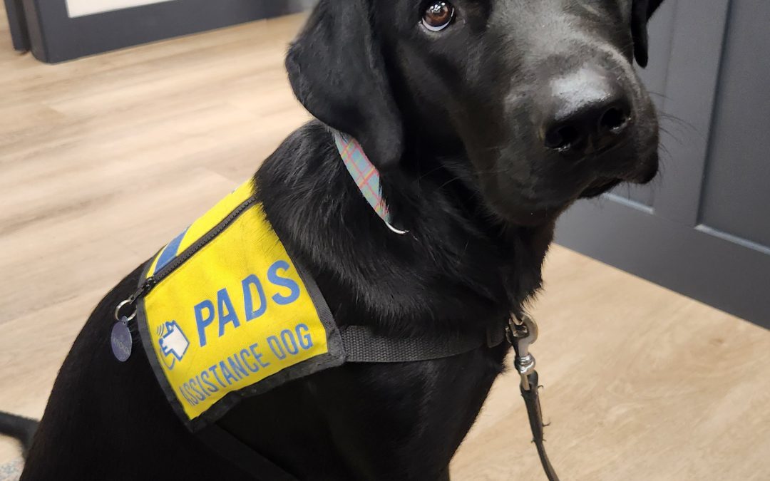 Kiyoko | October 2025