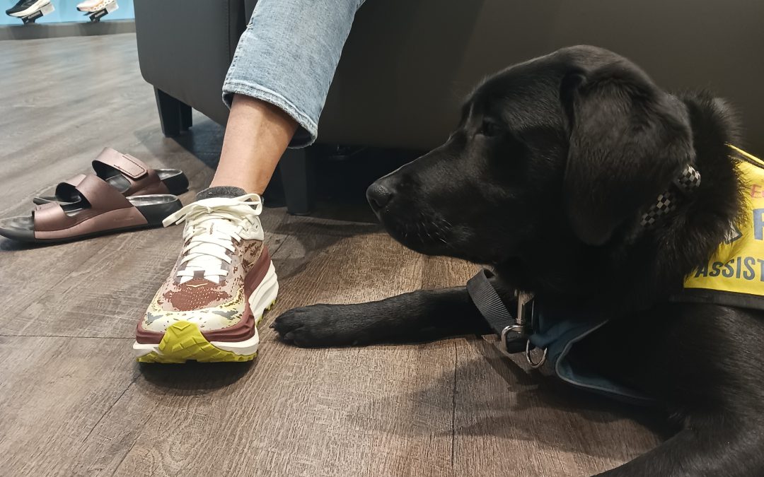 Donora | October 2025