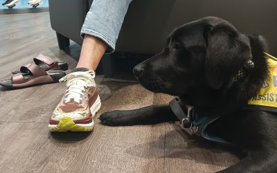 Donora | October 2025