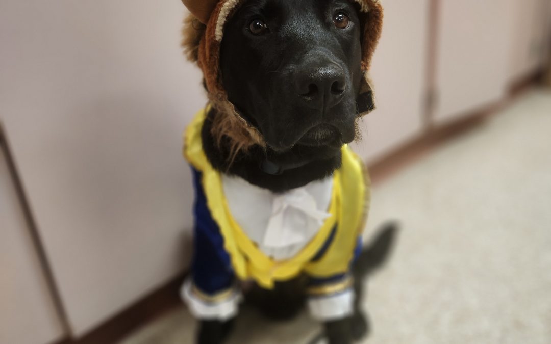 Windsor | October 2025