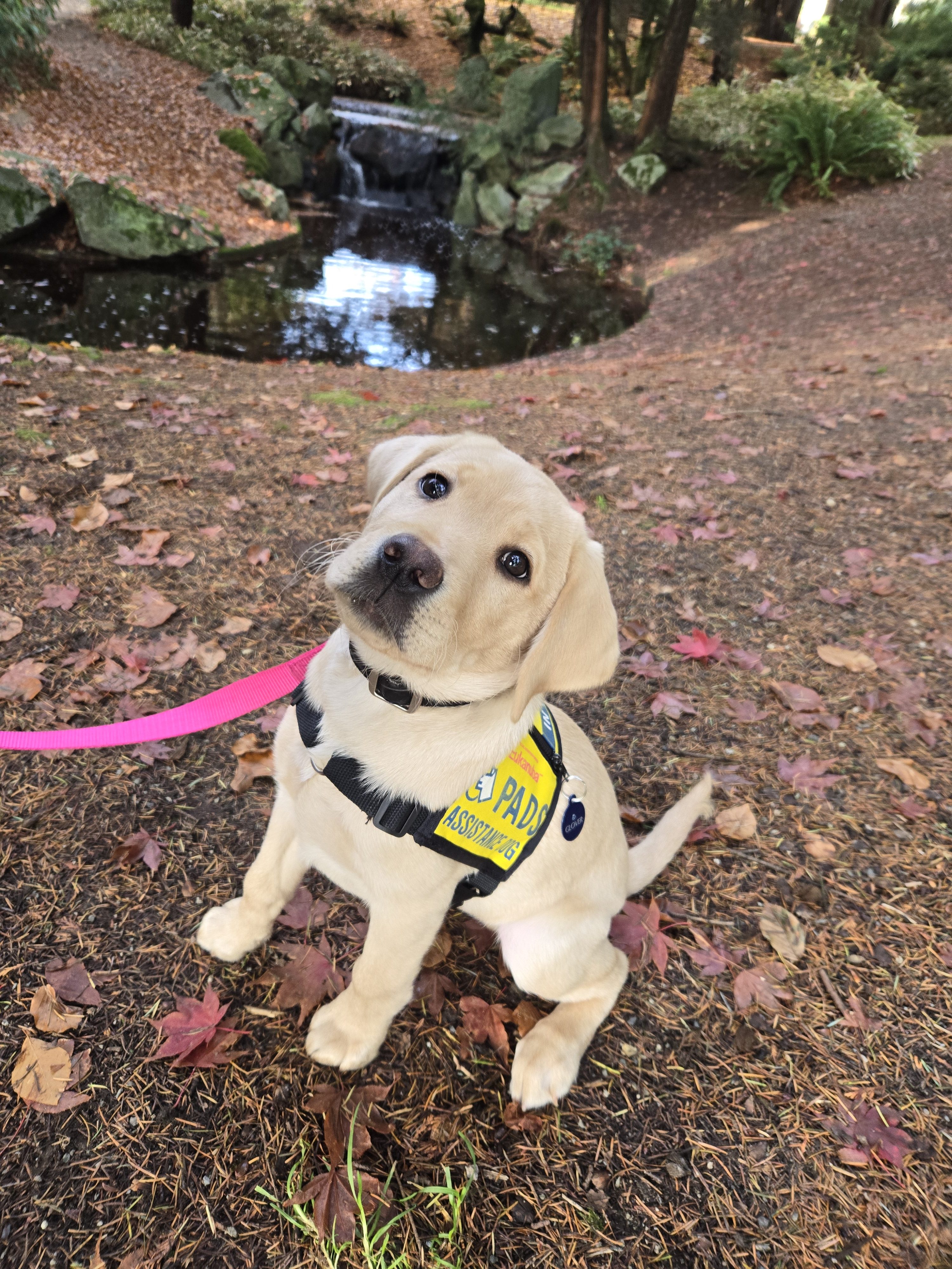 Glover | November 2025